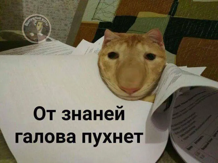 Минспорт предлагает ввести в комплекс ГТО норматив по управлению 75-мм дроном: в этом году — в тестовом режиме, а со следующего года по всей стране желающие смогут получить знак ГТО по этому испытанию; он может давать до 10 баллов к итоговым результатам экзамена.