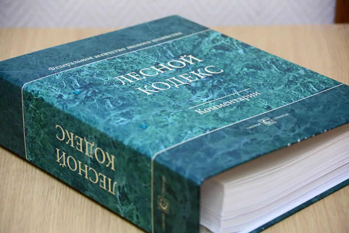 С 2006 года в Лесной кодекс внесли 79 наборов поправок; последний пакет вступит в силу в сентябре. По мнению эксперта по лесному хозяйству, дальнейшие единичные изменения не решают проблем — нужен полностью новый, упрощённый кодекс.