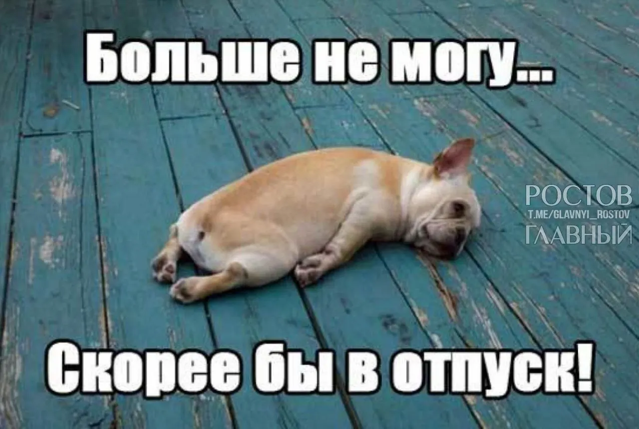 Инициатива депутатов Госдумы — поднять минимальный ежегодный отпуск с 28 до 35 дней, чтобы компенсировать включённые в него выходные и помочь избежать профессионального выгорания.