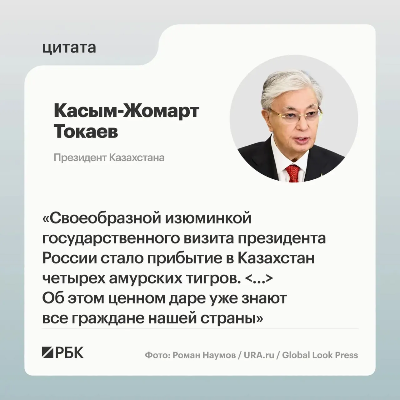 Казахстан обратился за помощью в возрождении популяции амурского тигра — российская сторона откликнулась и передала в Астану семейство животных.