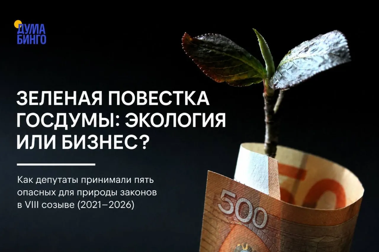 За последние годы в Госдуме приняли ряд инициатив, которые эксперты называют ослабляющими природоохранное регулирование: от ограничений общественной экспертизы до изменений в правилах охоты и добычи редких видов.
