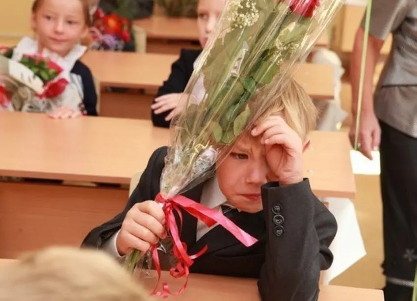 Замминистра просвещения сообщил, что 11 лет — оптимальный срок, и сокращать или увеличивать его сейчас не планируют; стандарты будут разрабатываться с расчётом на 11 классов.
