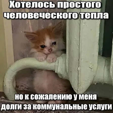 ВС подтвердил, что срок исковой давности — три года — препятствует включению в квитанции долгов за капитальный ремонт старше этого срока; решение защищает покупателей вторичного жилья и наследников от принудительного взыскания.