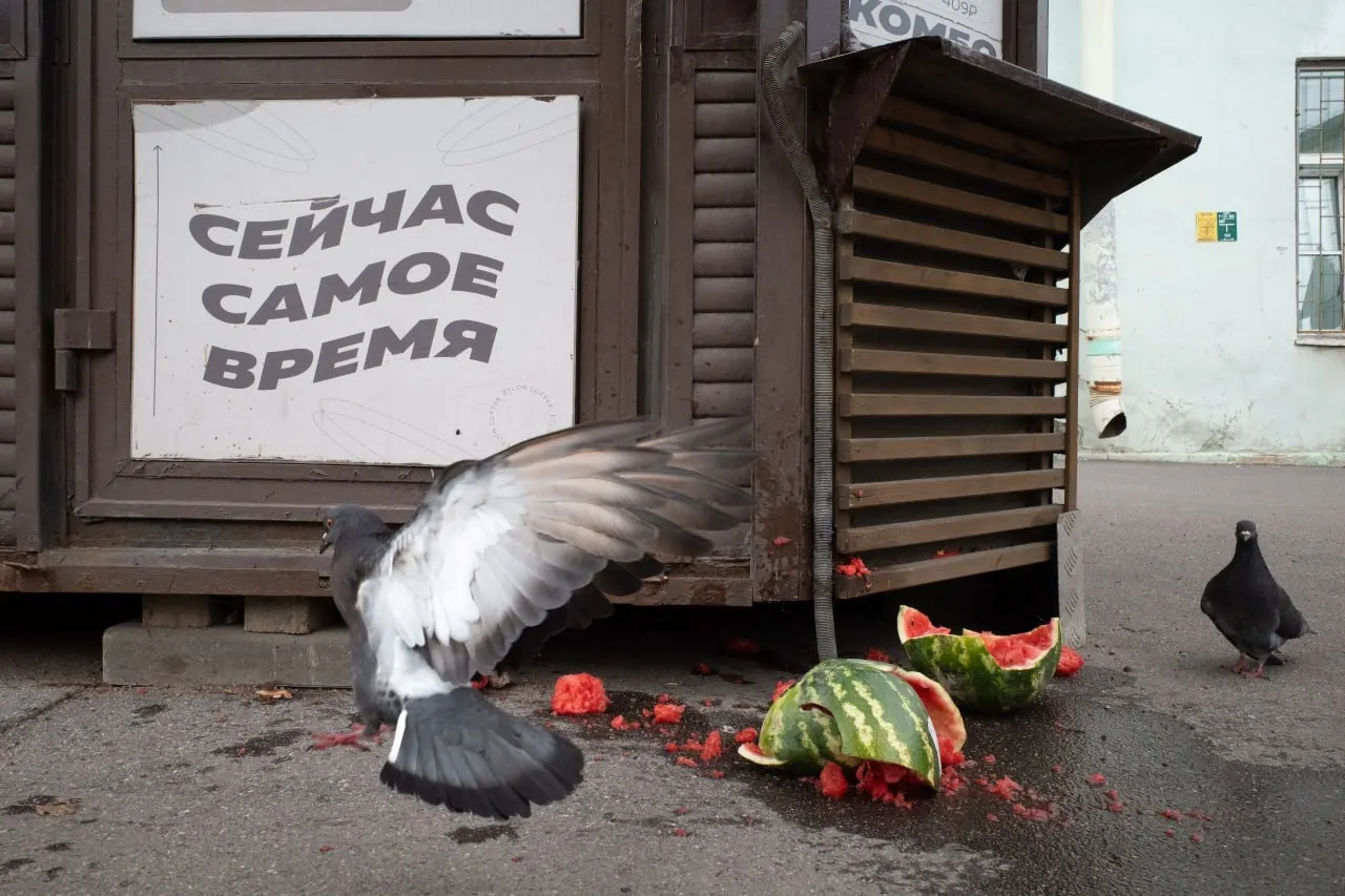 Хроника событий: штраф за антивоенную позицию в Петербурге, судебные решения о регистрации на выборы и новые назначения в Минобороны.