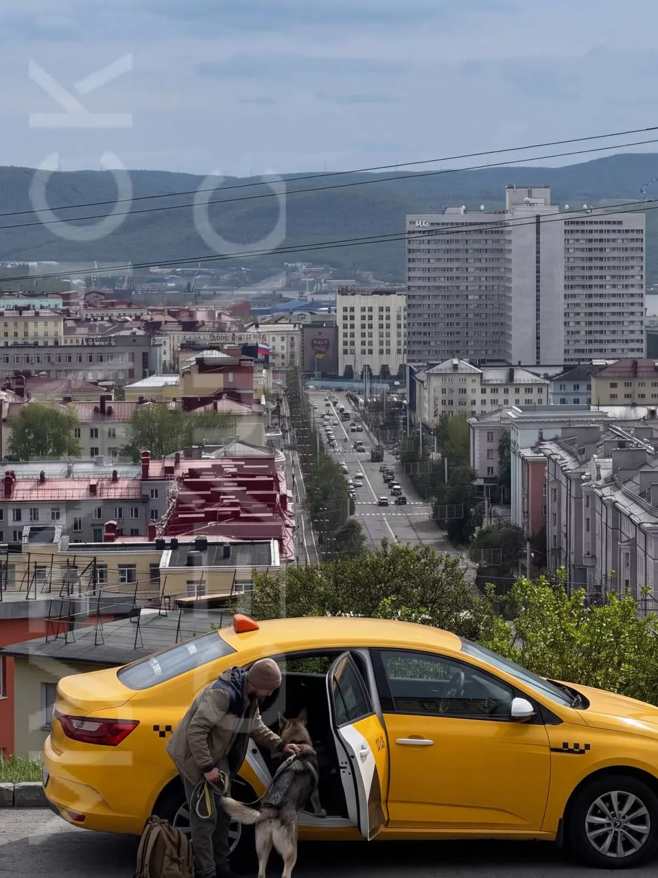 Новые федеральные нормы, действующие до 2032 года, регламентируют требования к ручной клади, крупному багажу, бесплатной перевозке инвалидных колясок и правилам перевозки домашних животных в такси.