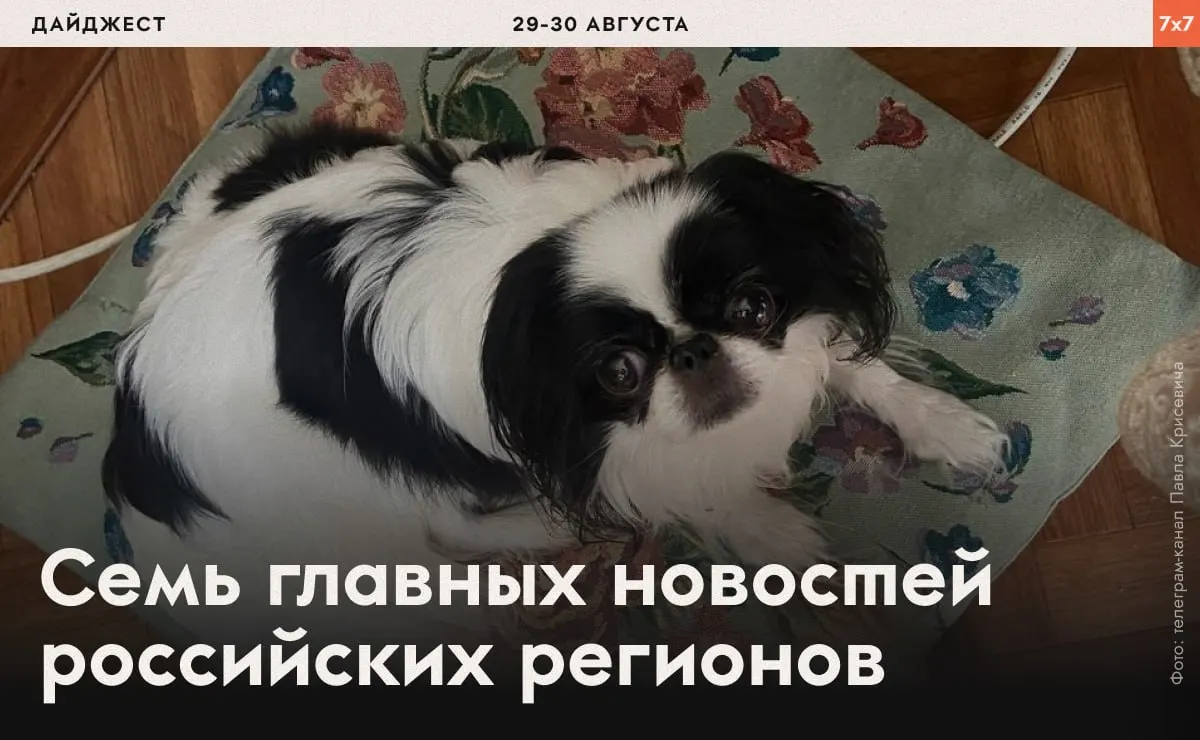 Краткая подборка новостей о политических репрессиях, арестах активистов и региональных запретах.