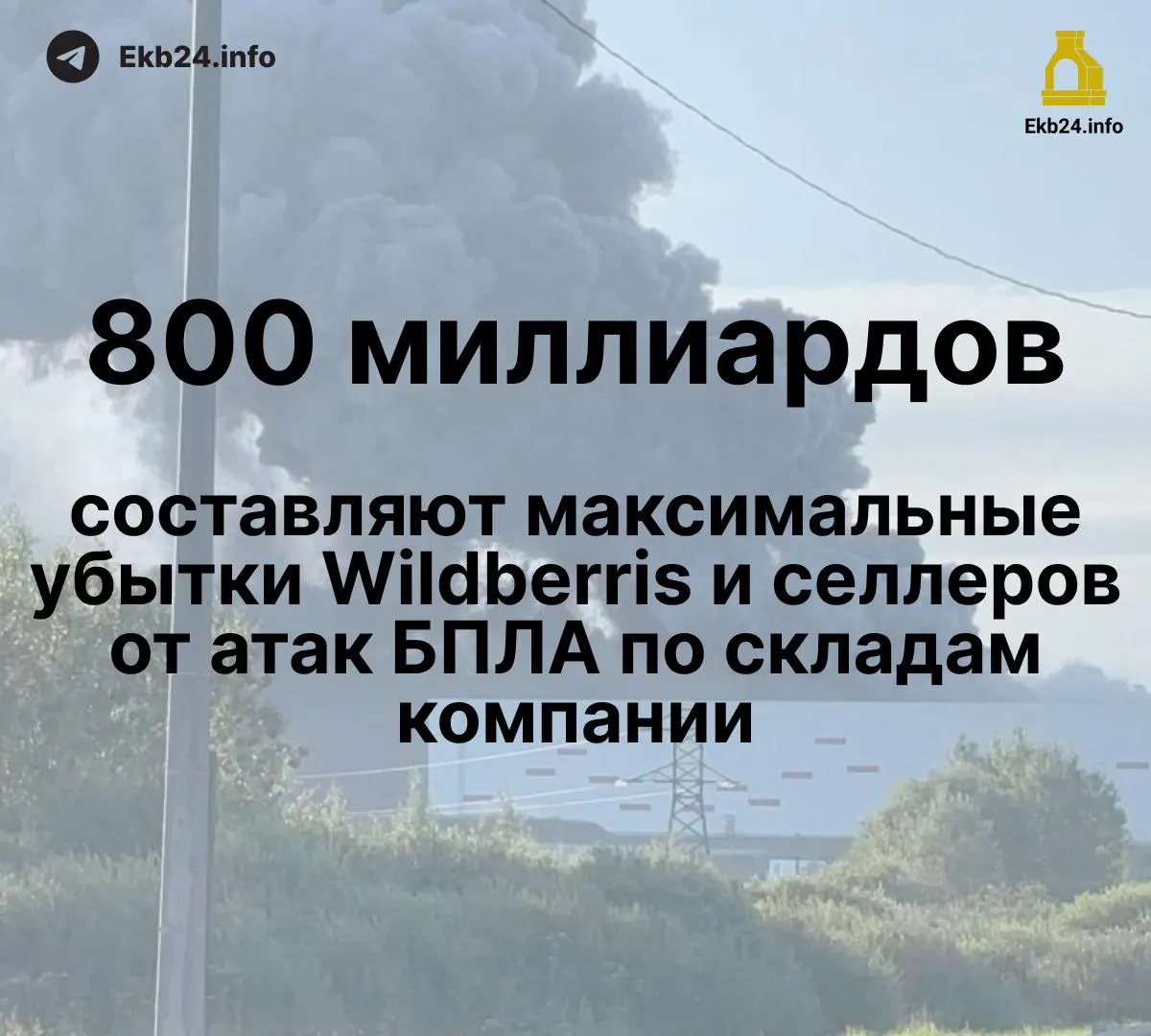 Потери Wildberries и продавцов оцениваются в 600–800 млрд рублей; на складах уничтожается большая часть товара, а выплаты по компенсациям задерживаются.