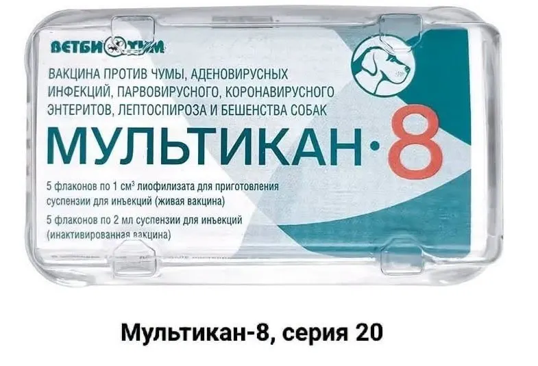 Владельцы собак, погибших после вакцинации препаратом «Мультикан-8», призывают к прозрачному разбирательству и независимым анализам, утверждая, что лаборатории и производитель уклоняются от проверки.