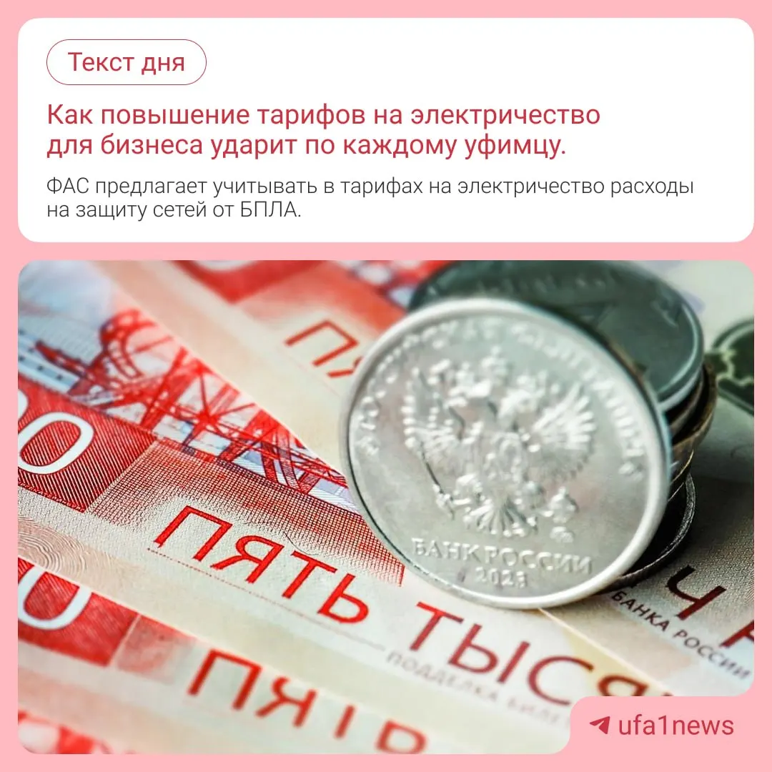 Регулятор считает целесообразным учитывать расходы на защиту сетей от дронов в тарифах, что может сказаться на ценах потребителей по всей России.