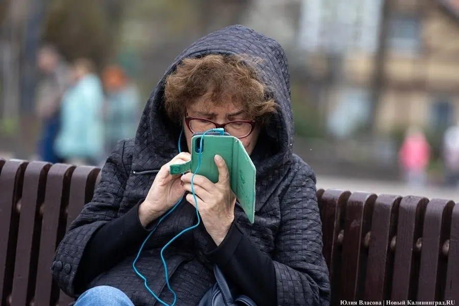 Инициатива позволит родственникам следить за успеваемостью учащихся с согласия родителей; реализация возможна в 2027 году при наличии нормативной базы.